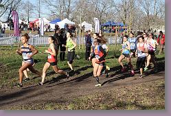 Begles 15.12.13 01 488 * 679 x 453 * (204KB)